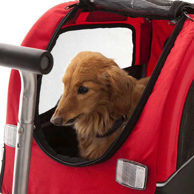 Mobility World Ltd UK: Dog Carrier Trailer for Mobility Scooters