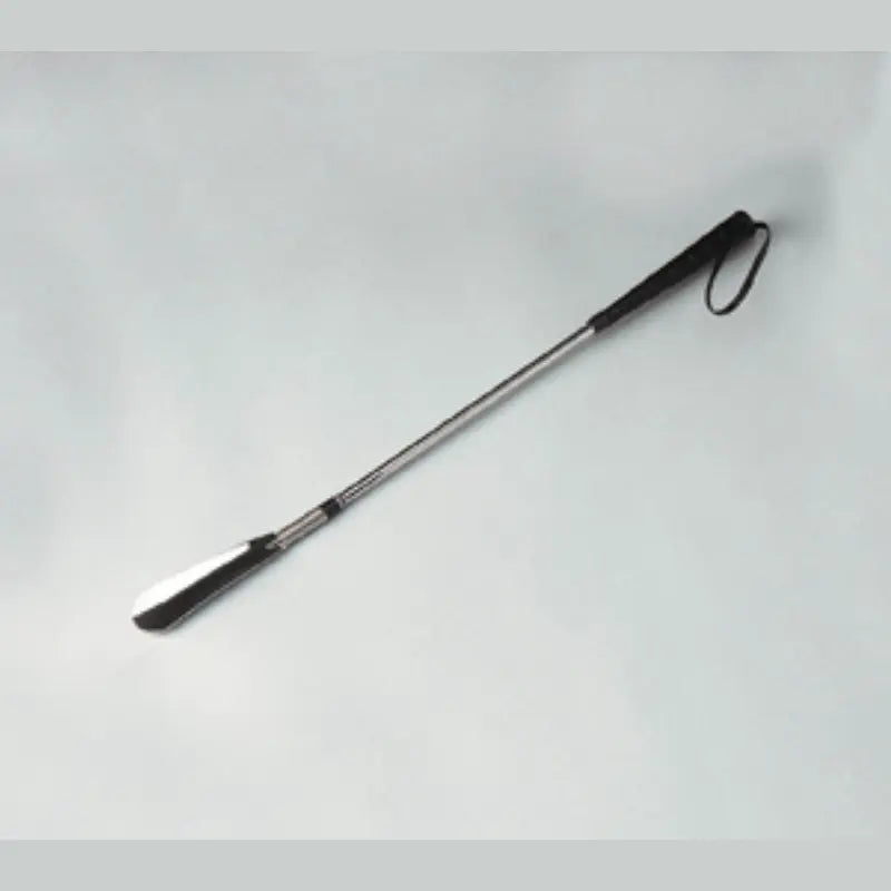 Shoe Horn with Spring