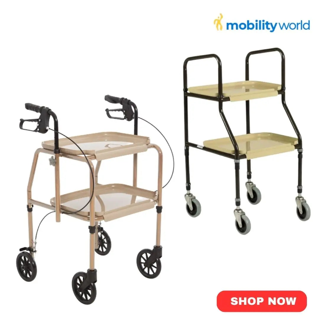 Trolleys & Walker Trolleys_img 