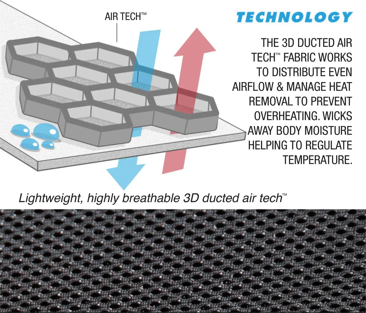 Posture Orthopedic Lumbar Support Pain Relief Coccyx Wedge – Mobility ...