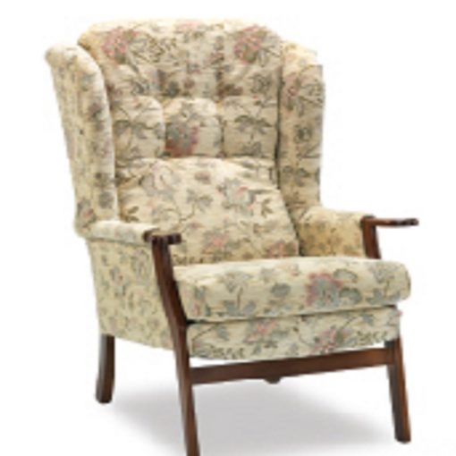 High Seat Orthopaedic Chairs for Elderly Wingback Fireside