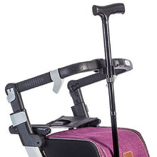 Load image into Gallery viewer, Rollz Flex Rollator - Cane Holder