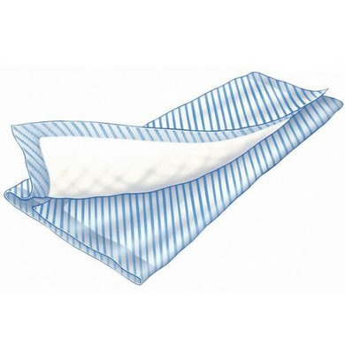 Disposable Bed Pad Used under the person as a precaution to absorb any accidental leakages and so protect the bed linen by keeping it dry